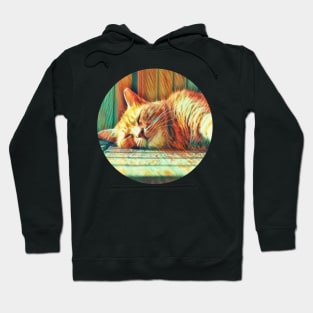 Chubby floppy cat Hoodie